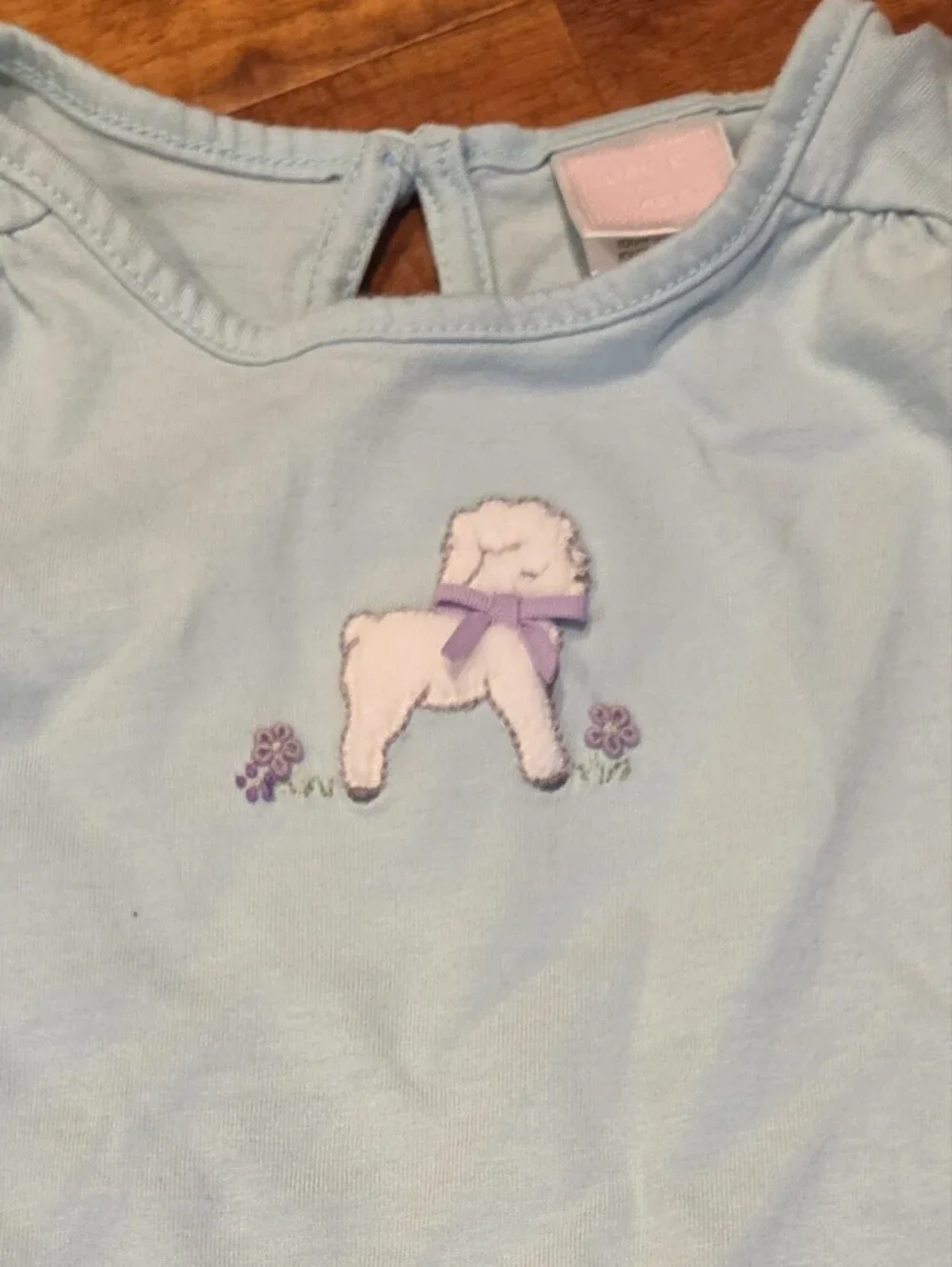 Janie and Jack EUC 12-18 months teal lamb top, colorblock ponte skirt